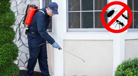 Tarsus Kene İlaçlama böcek ilaçlama ve haşere kontrolü — ilaclama-tr.com